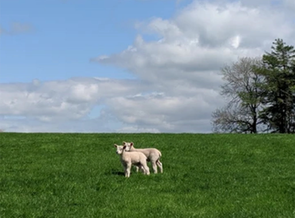 Weather Clocks & British Bank Holidays