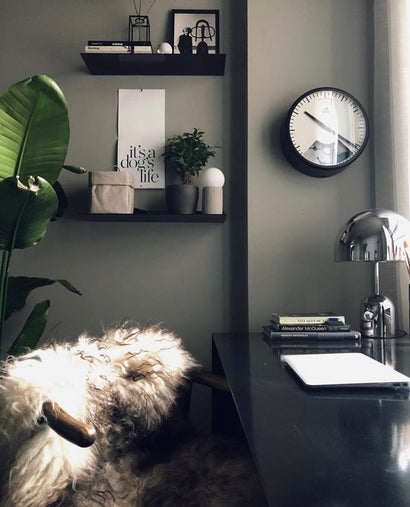 Meet the Content Creator and their Weather Clock - Dan