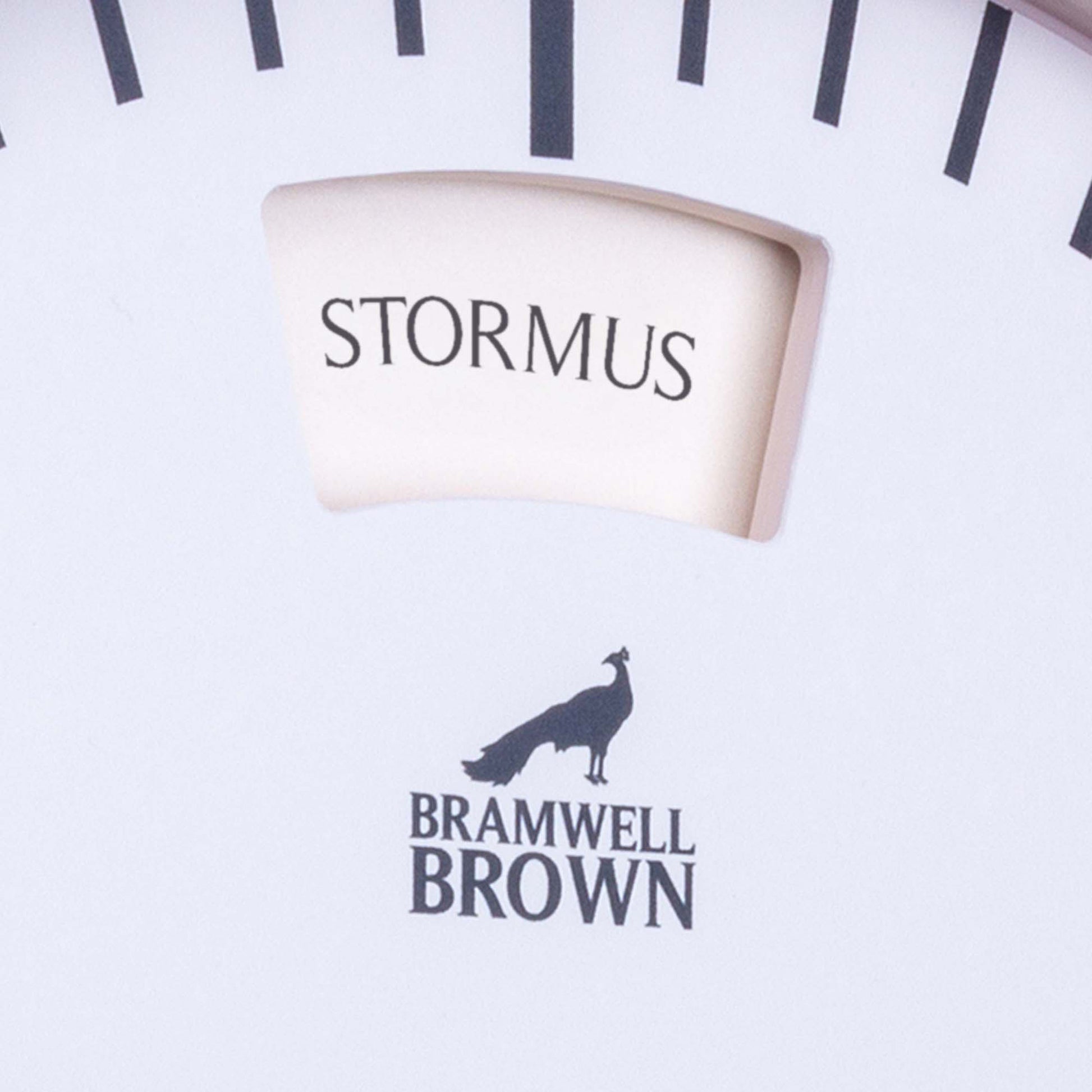 Welsh-language Weather Clock - Bramwell Brown Art Clocks