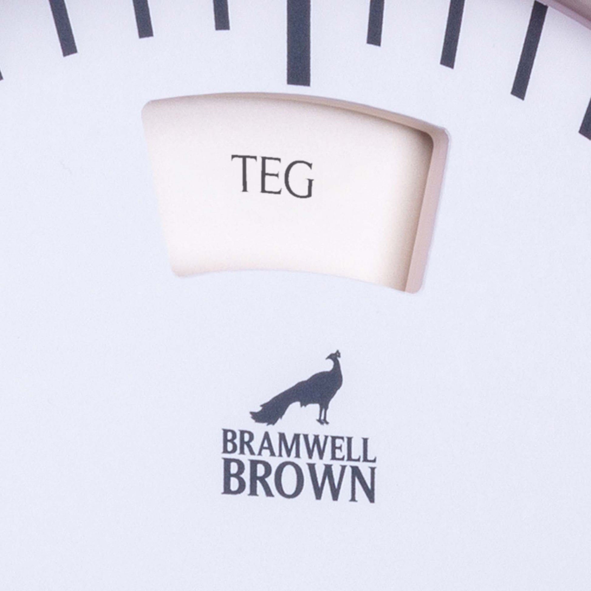 Welsh-language Weather Clock - Bramwell Brown Art Clocks